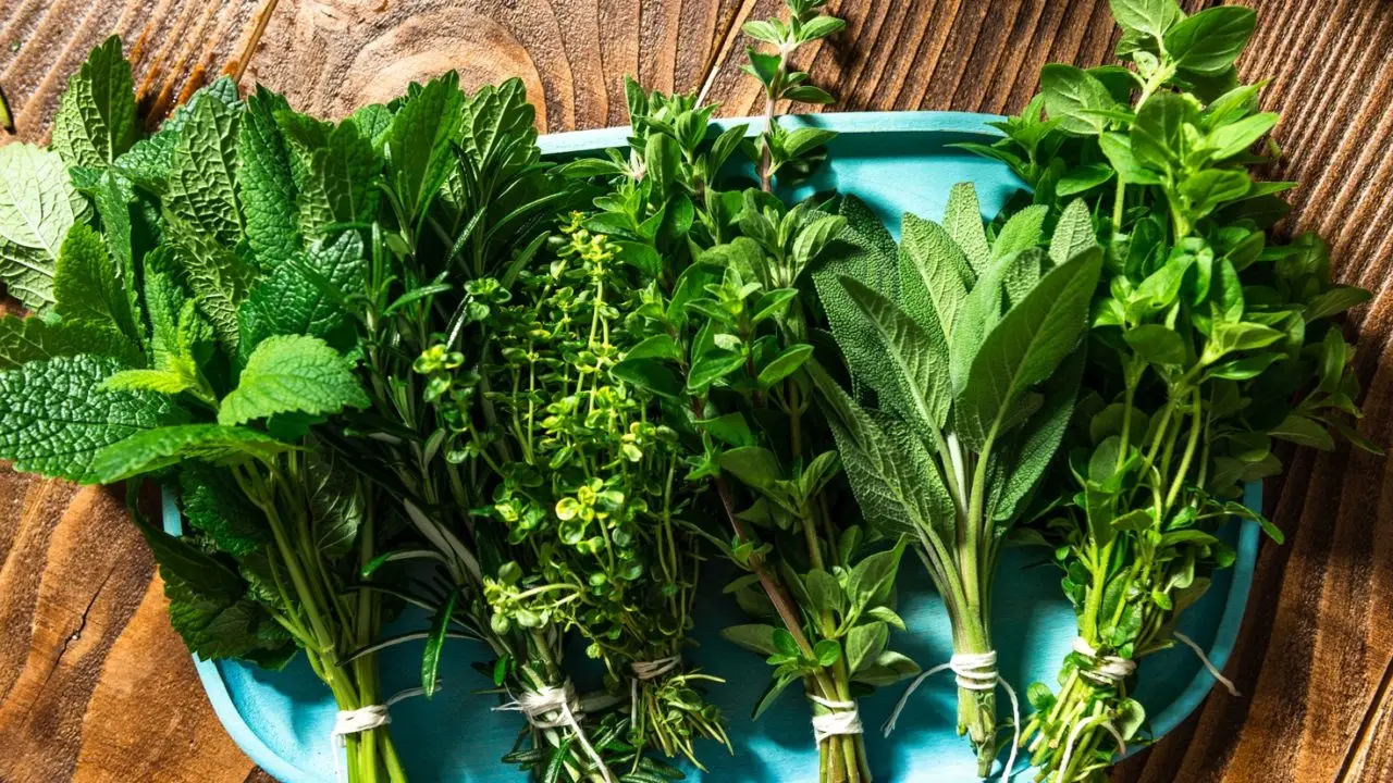 La pianta aromatica che calma l’ansia: la usi già senza saperlo La pianta aromatica che calma l’ansia: la usi già senza saperlo