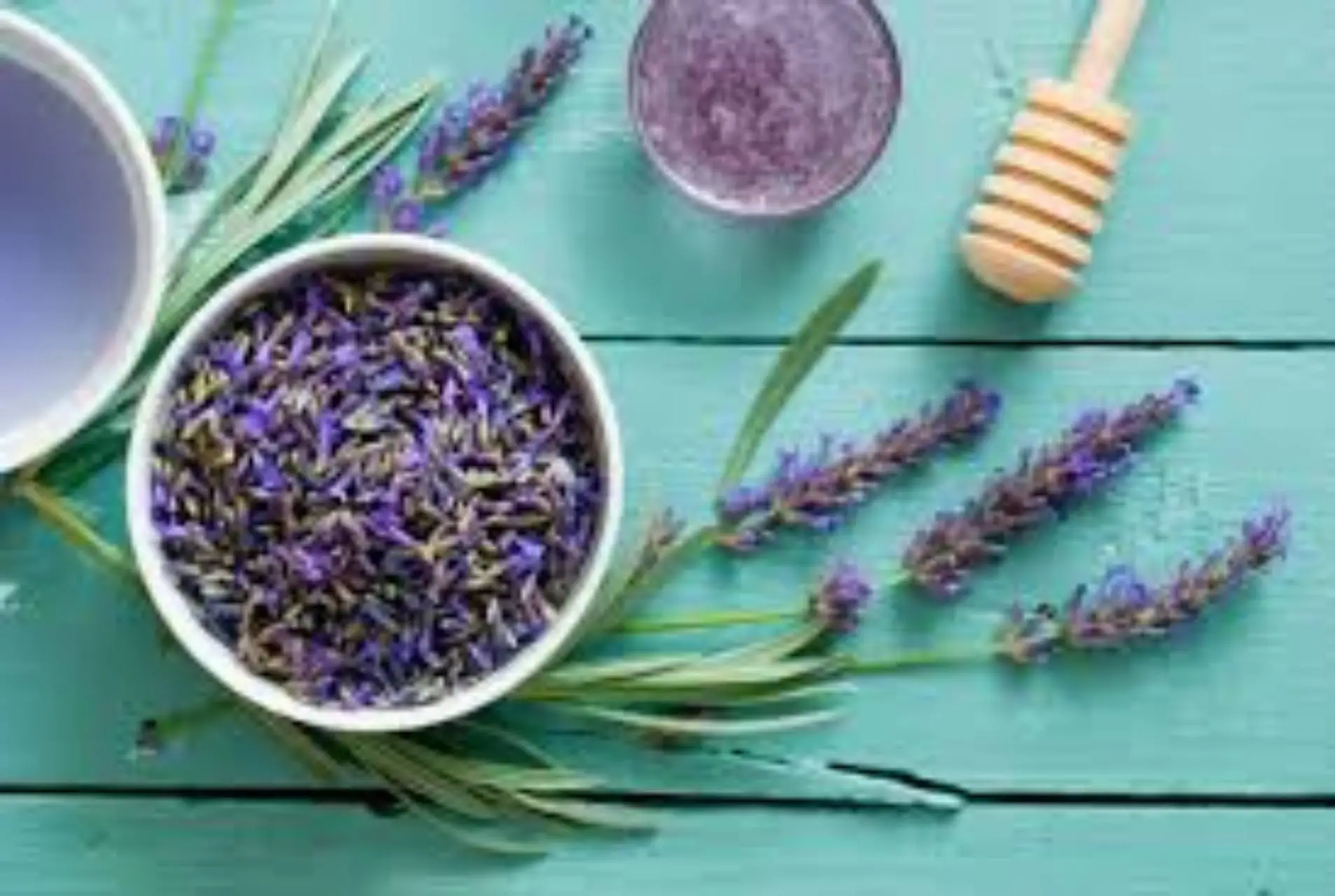 Come eliminare i cattivi odori in casa in 5 minuti: il trucco dei cuochi Come eliminare i cattivi odori in casa in 5 minuti: il trucco dei cuochi