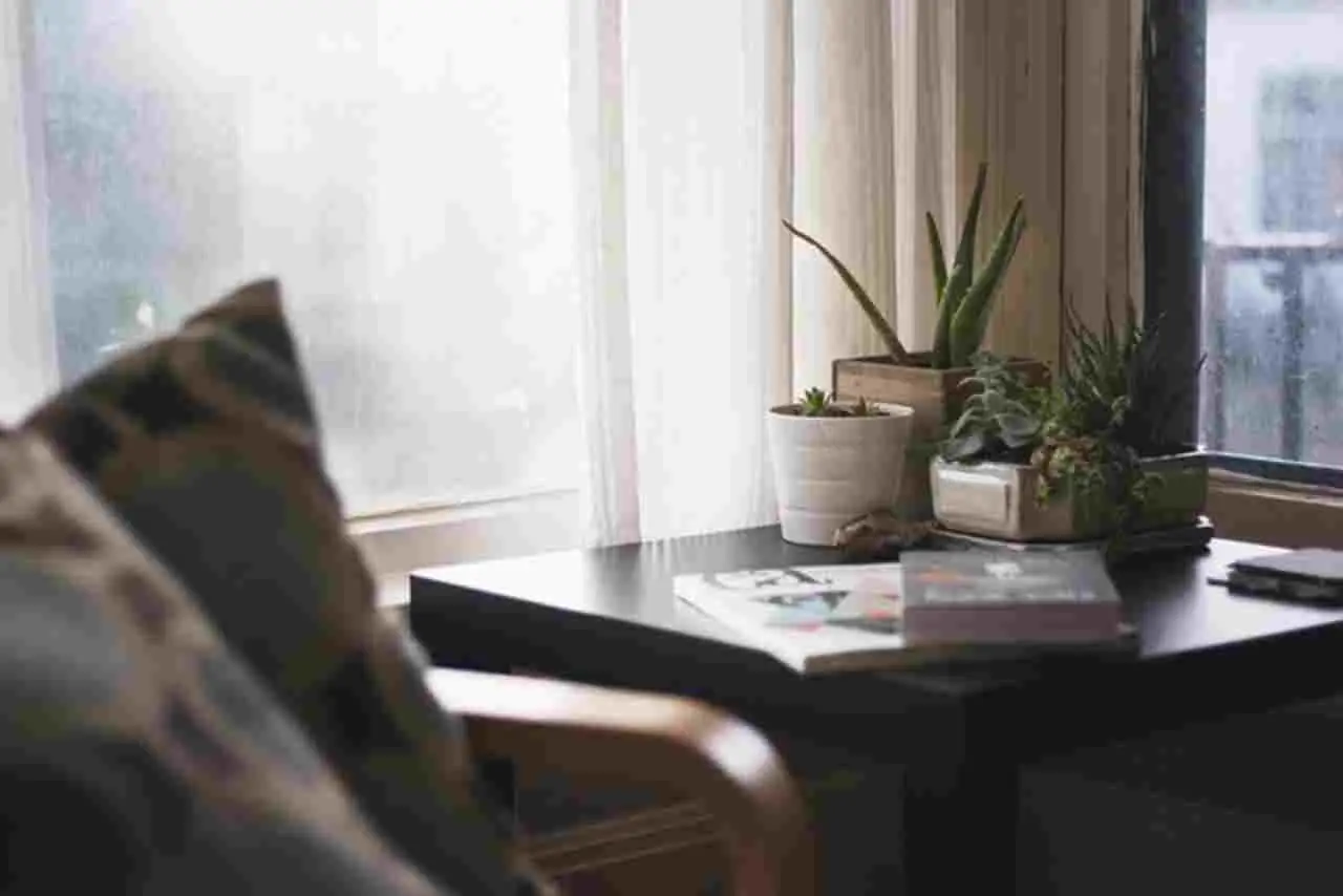 Odore di chiuso in casa? Il trucco che usano nei negozi di abbigliamento Odore di chiuso in casa? Il trucco che usano nei negozi di abbigliamento