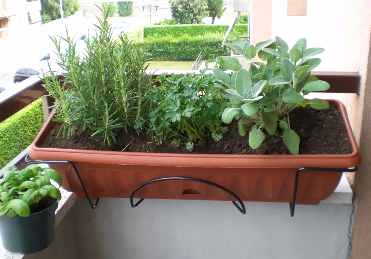 Come tenere il balcone profumato anche d’estate Come tenere il balcone profumato anche d’estate