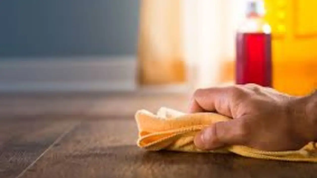 Cosa mettere sul pavimento per allontanare formiche e insetti Cosa mettere sul pavimento per allontanare formiche e insetti