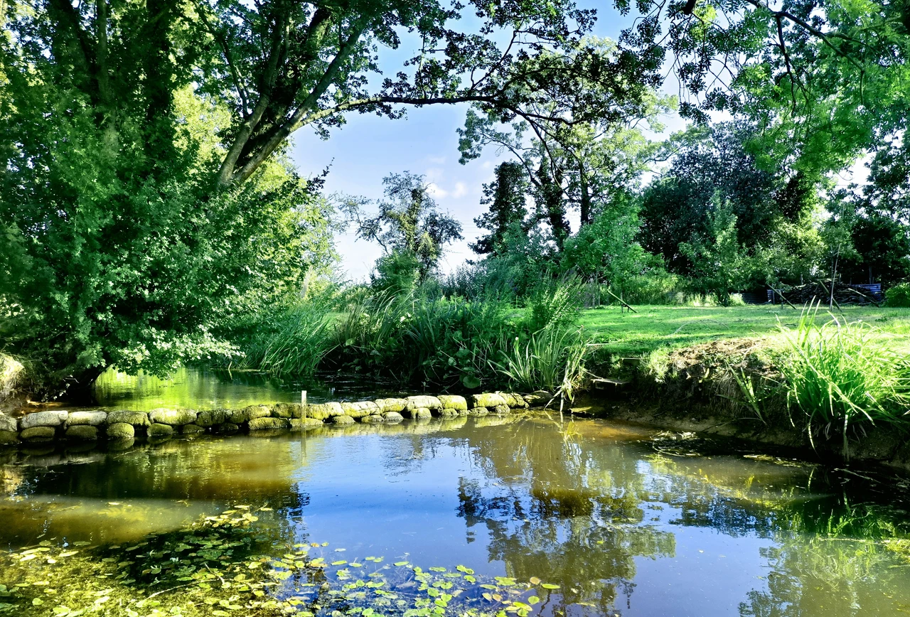 Come salvare le piante dal caldo estremo: il trucco che usano nei giardini botanici Come salvare le piante dal caldo estremo: il trucco che usano nei giardini botanici