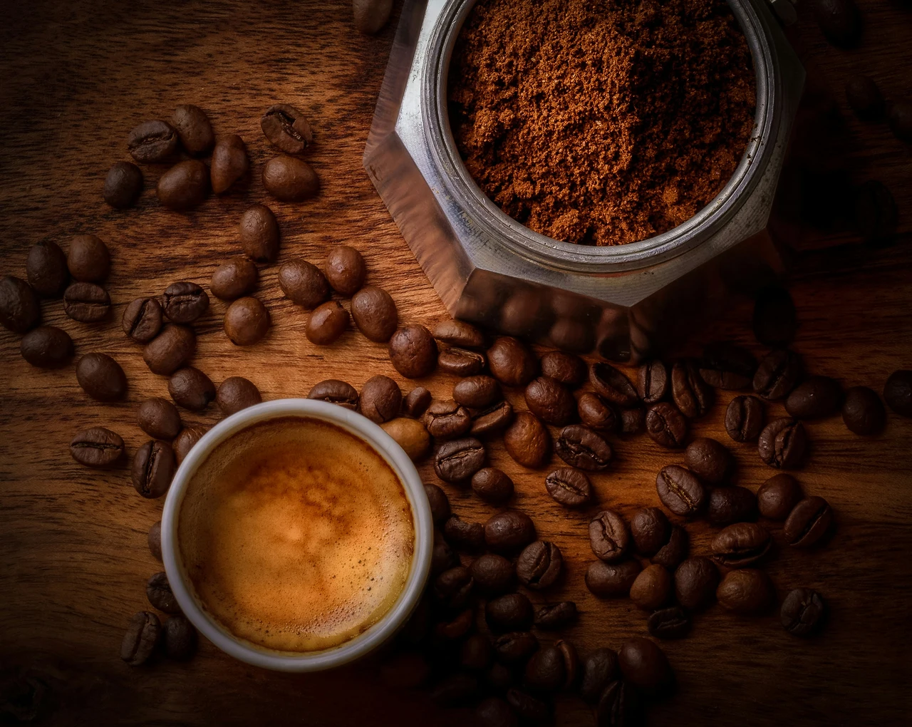 Fondi di caffè e piante da fiore: ecco dove funzionano davvero Fondi di caffè e piante da fiore: ecco dove funzionano davvero