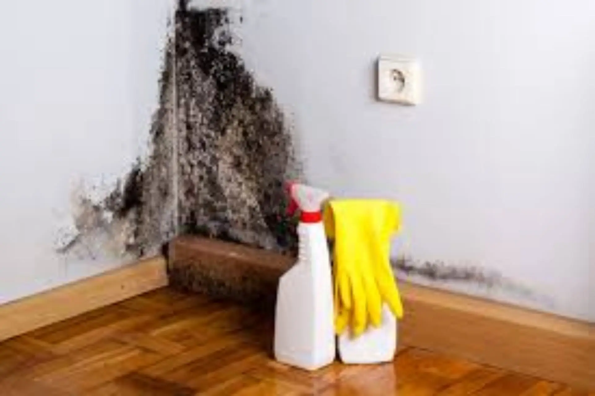 Scopri subito come eliminare la muffa in bagno usando solo aceto e bicarbonato Scopri subito come eliminare la muffa in bagno usando solo aceto e bicarbonato