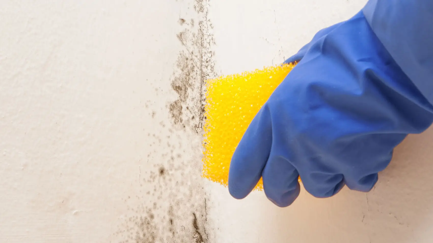 Scopri subito come eliminare la muffa in bagno usando solo aceto e bicarbonato Scopri subito come eliminare la muffa in bagno usando solo aceto e bicarbonato