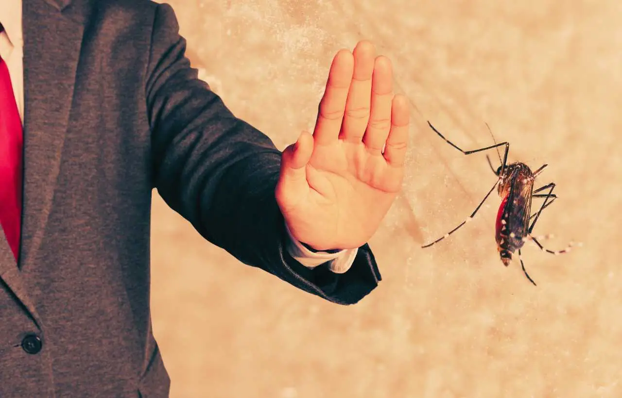 Mantieni le zanzare lontane con un mix di oli essenziali facili da reperire