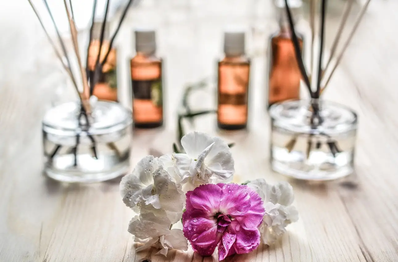 Risparmia sugli spray per ambienti: crea il tuo profumatore con anice stellato e acqua Risparmia sugli spray per ambienti: crea il tuo profumatore con anice stellato e acqua