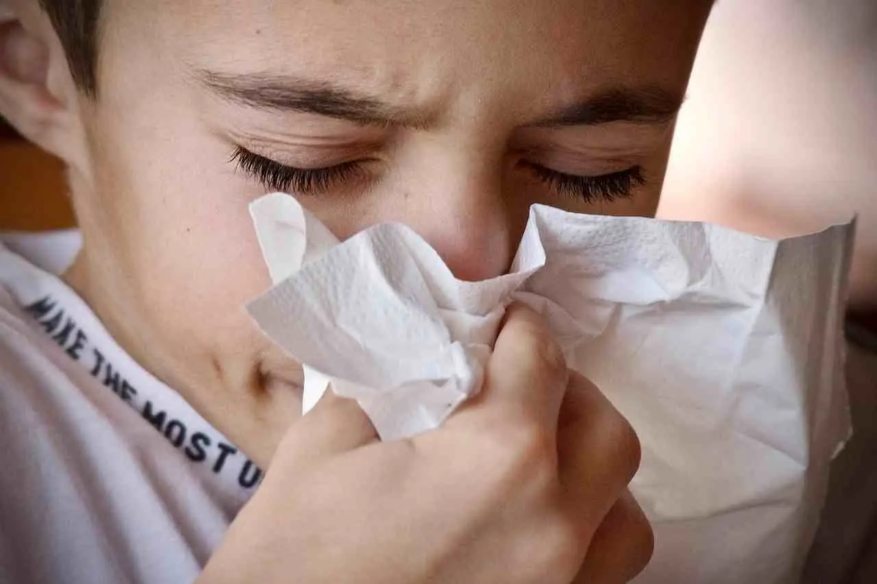 Come prevenire le allergie in casa eliminando gli acari dai tappeti con il vapore