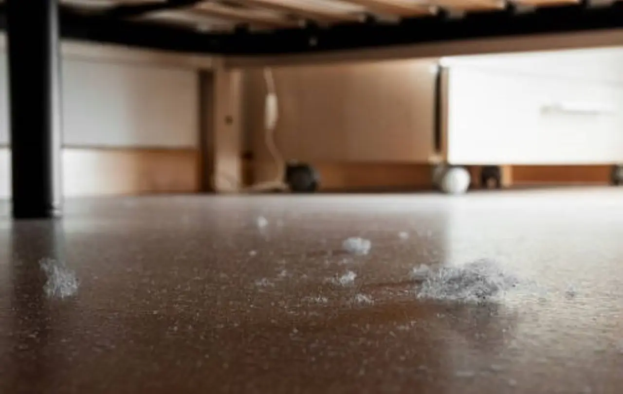 Istruzioni pratiche per una pulizia immediata delle superfici dove si annidano gli acari