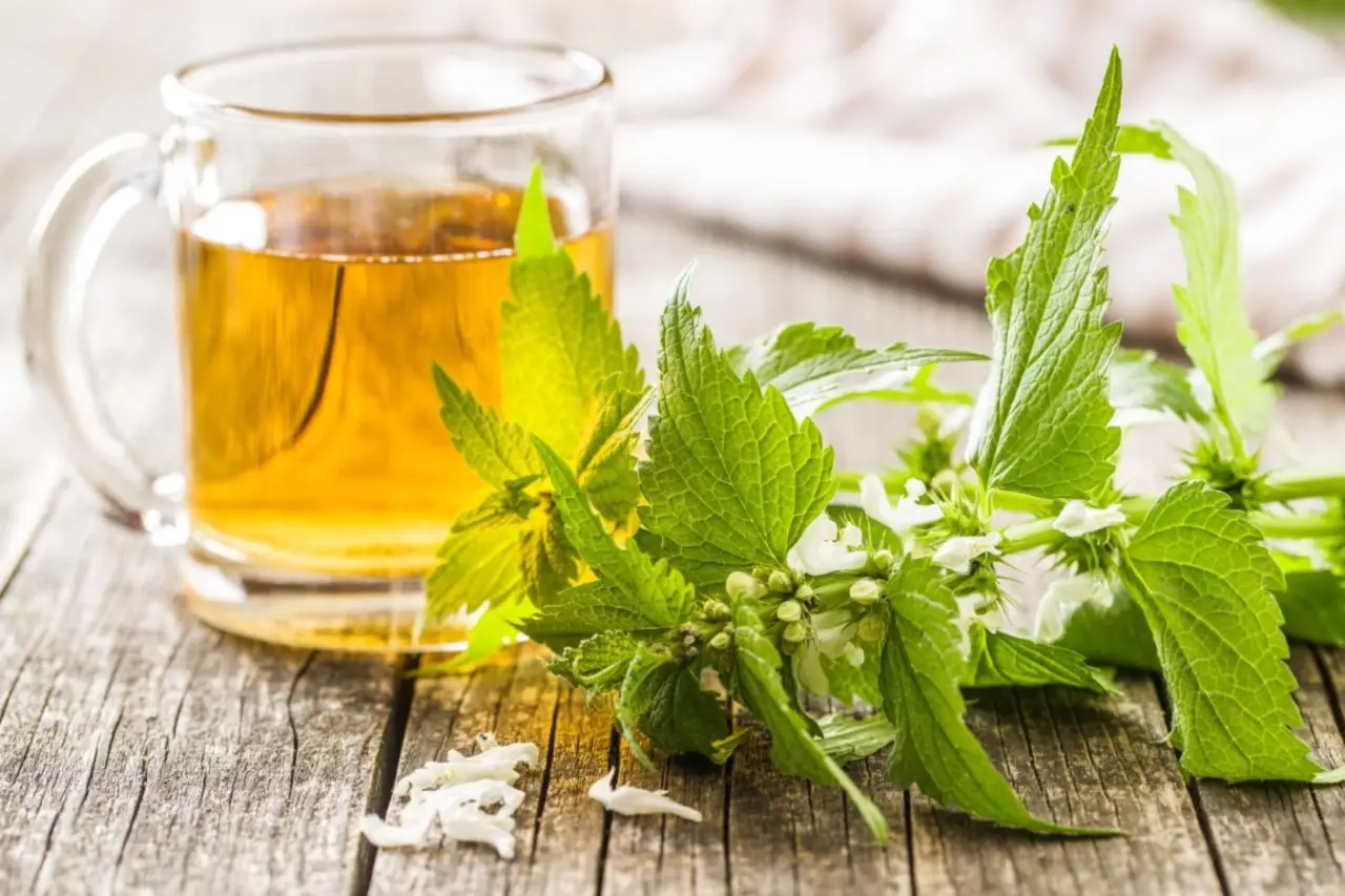 Il tè freddo naturale che abbassa la pressione: la ricetta nascosta in cucina Il tè freddo naturale che abbassa la pressione: la ricetta nascosta in cucina