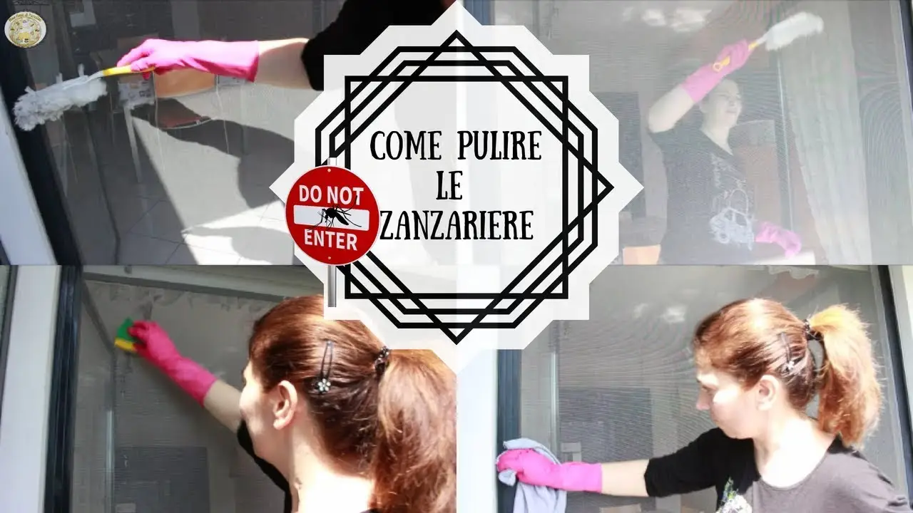 Come pulire le zanzariere velocemente: ecco il trucco Come pulire le zanzariere velocemente: ecco il trucco
