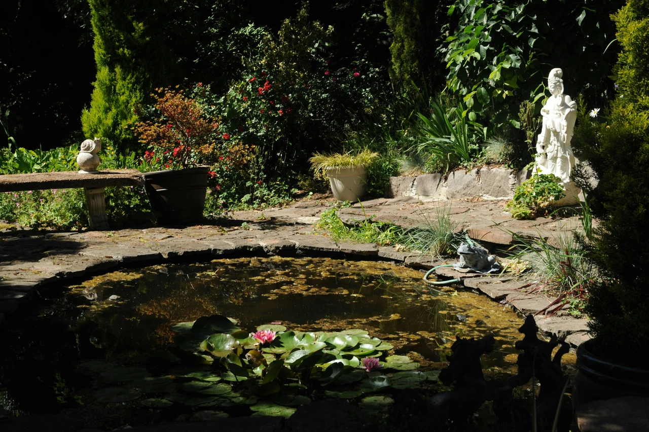 Allerta bisce in giardino: ecco perchè sono pericolose Allerta bisce in giardino: ecco perchè sono pericolose