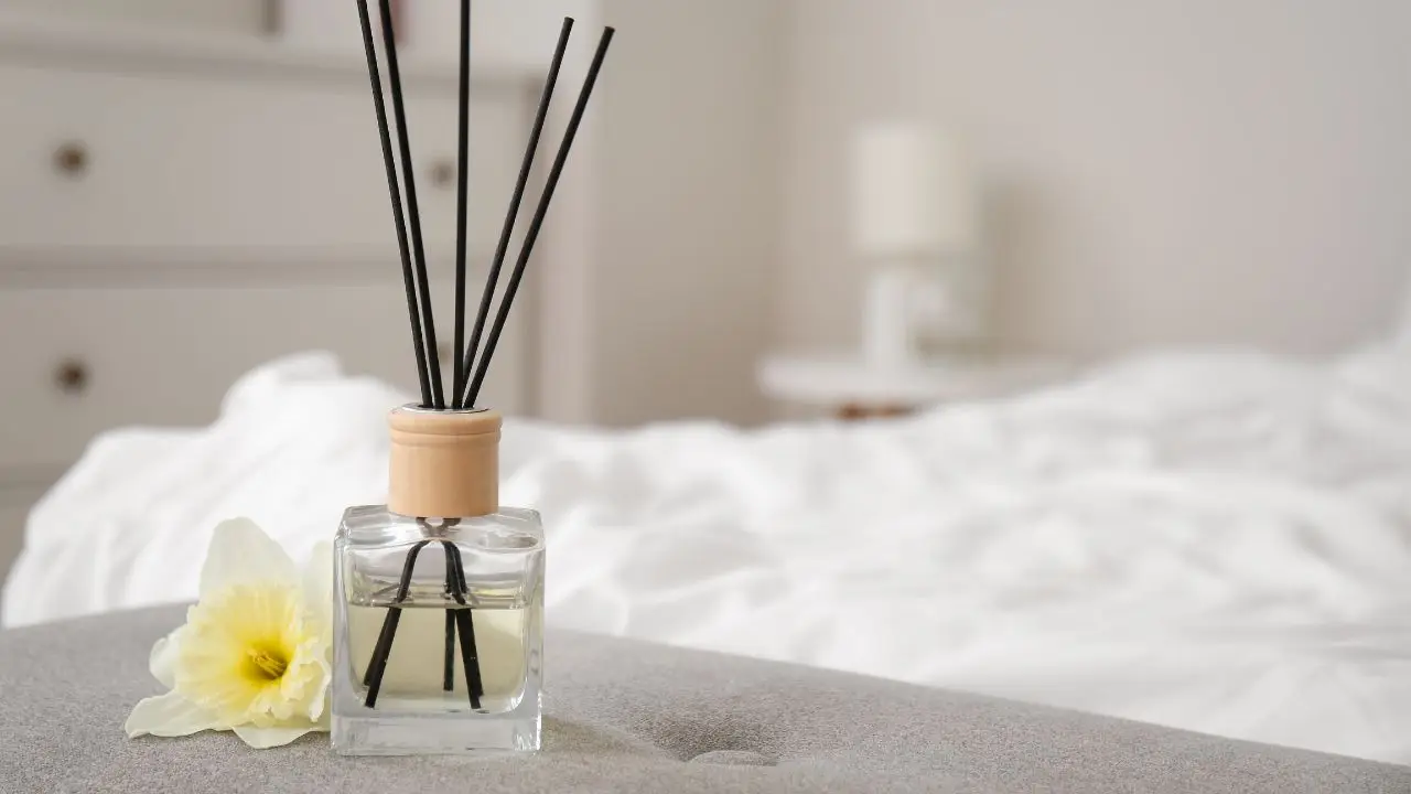 Come profumare tutta la casa in 5 minuti con un solo ingrediente naturale Come profumare tutta la casa in 5 minuti con un solo ingrediente naturale
