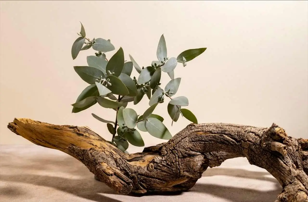Come profumare tutta la casa in 5 minuti con un solo ingrediente naturale Come profumare tutta la casa in 5 minuti con un solo ingrediente naturale