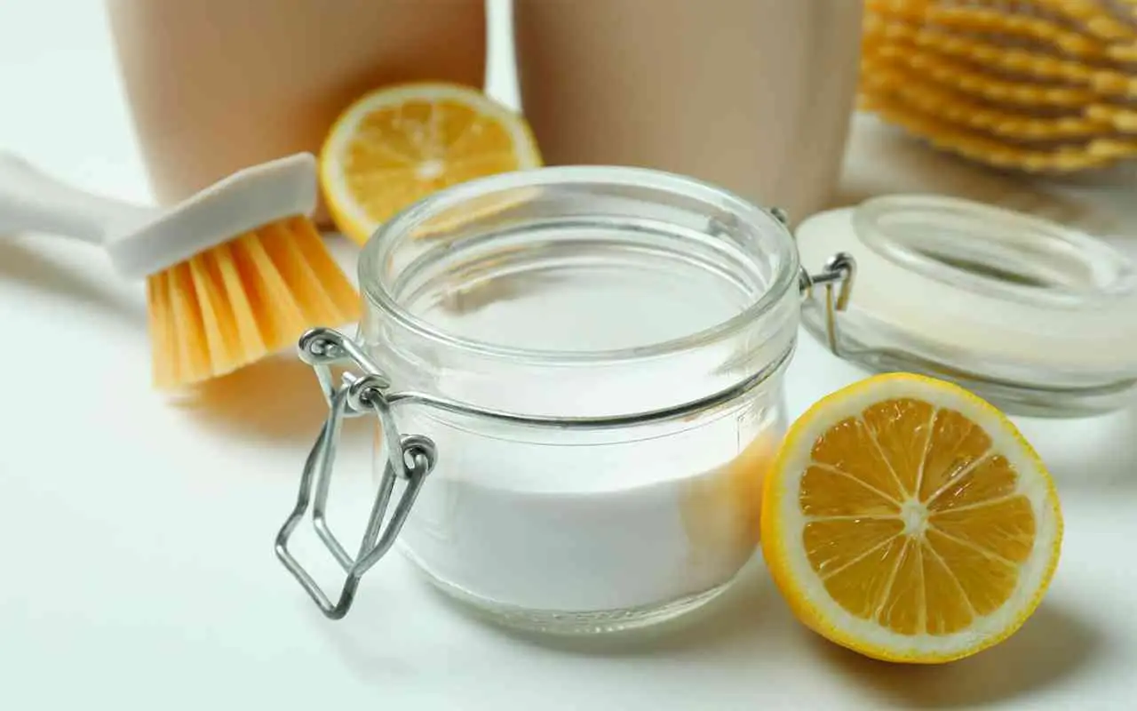 Il trucco per eliminare l’odore di fritto: usato nei migliori ristoranti Il trucco per eliminare l’odore di fritto: usato nei migliori ristoranti