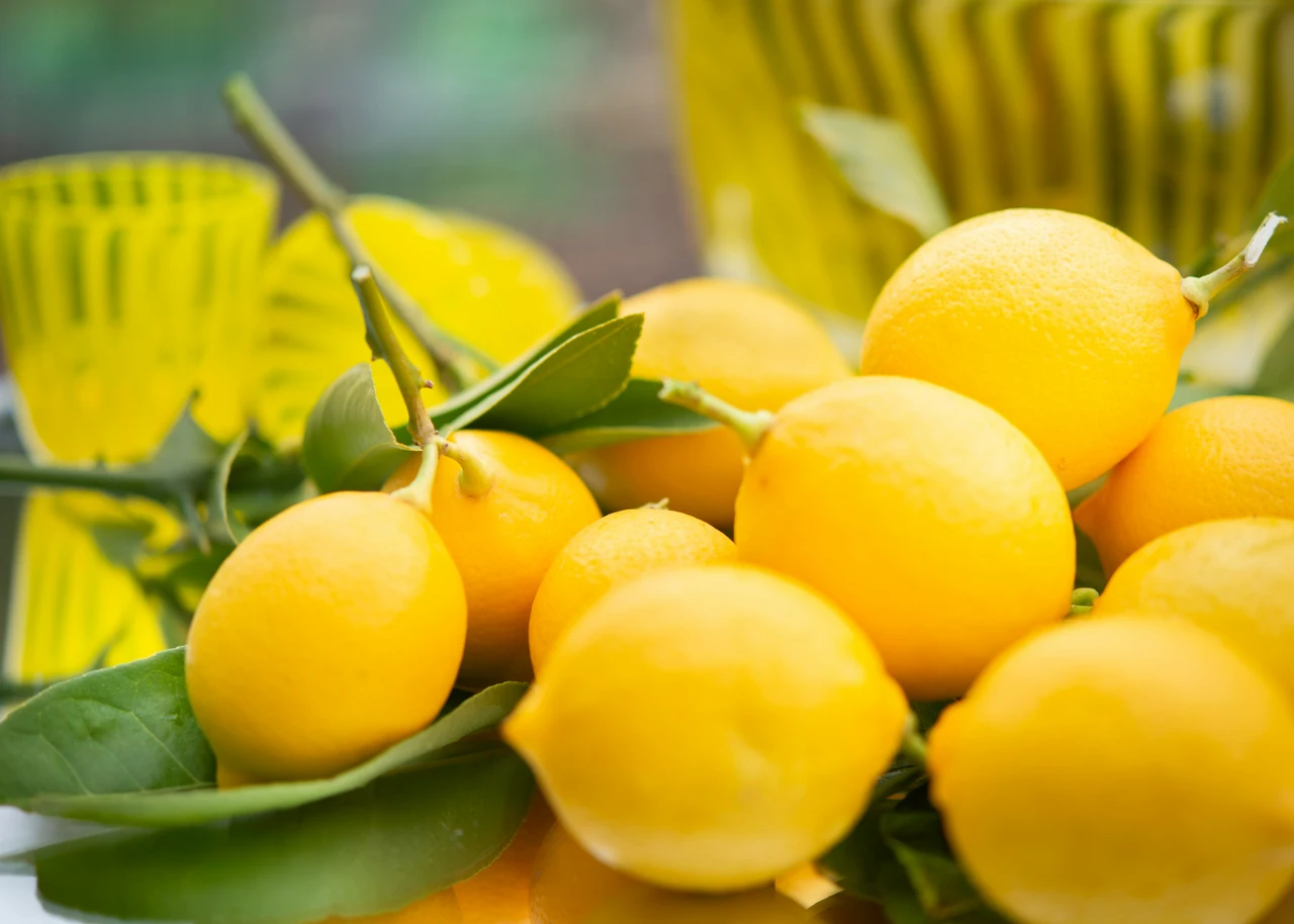 Come profumare tutta la casa con un solo limone: il metodo che funziona sempre Come profumare tutta la casa con un solo limone: il metodo che funziona sempre