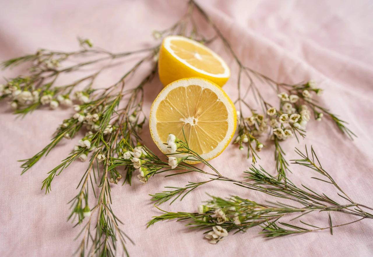 Come profumare tutta la casa con un solo limone: il metodo che funziona sempre Come profumare tutta la casa con un solo limone: il metodo che funziona sempre
