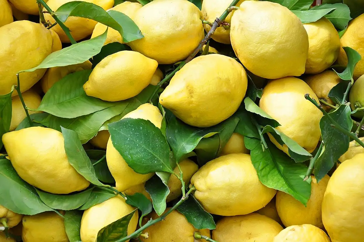 Come profumare tutta la casa con un solo limone: il metodo che funziona sempre Come profumare tutta la casa con un solo limone: il metodo che funziona sempre