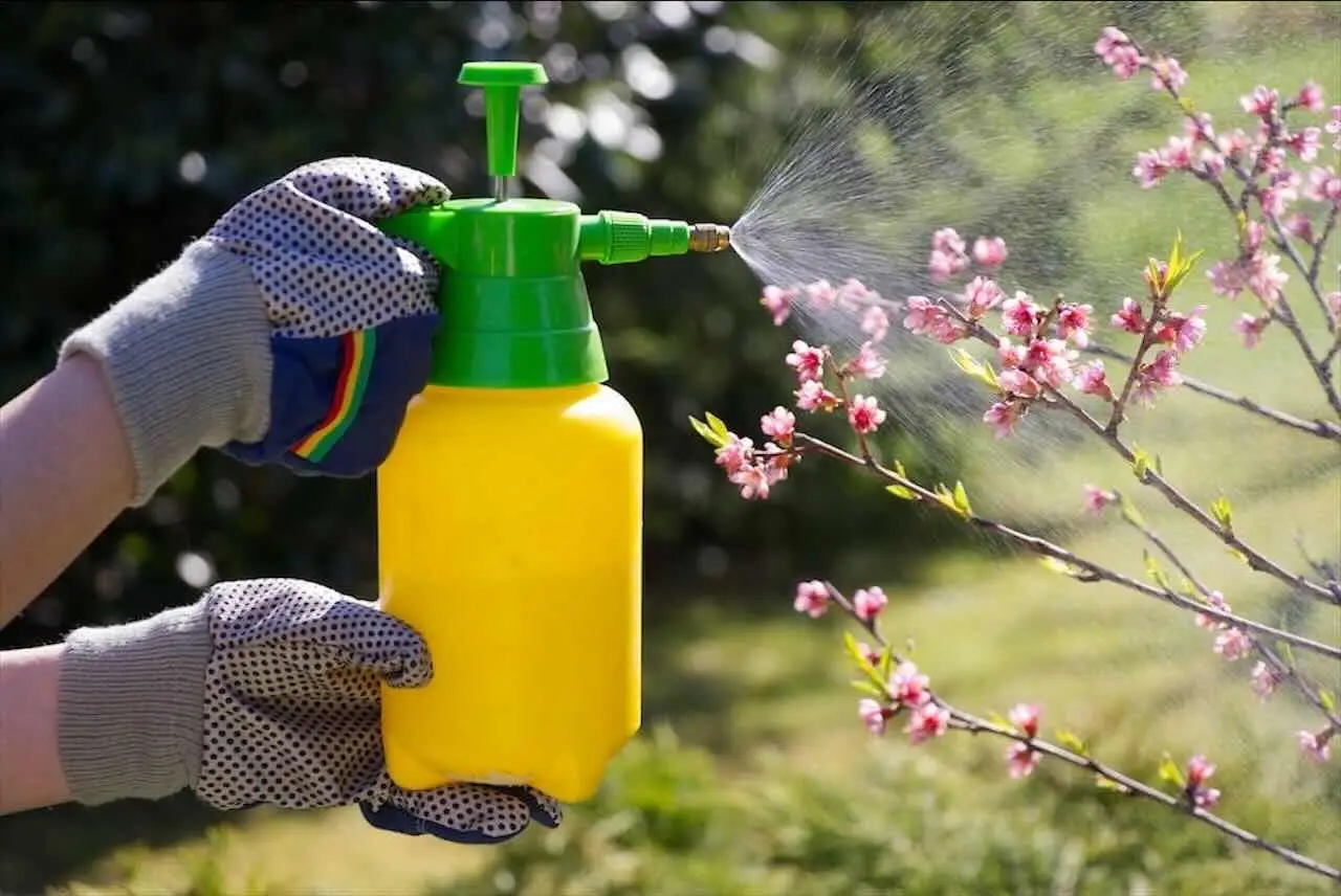 Zanzare in balcone? Ecco cosa spruzzare per tenerle lontane senza veleni Zanzare in balcone? Ecco cosa spruzzare per tenerle lontane senza veleni