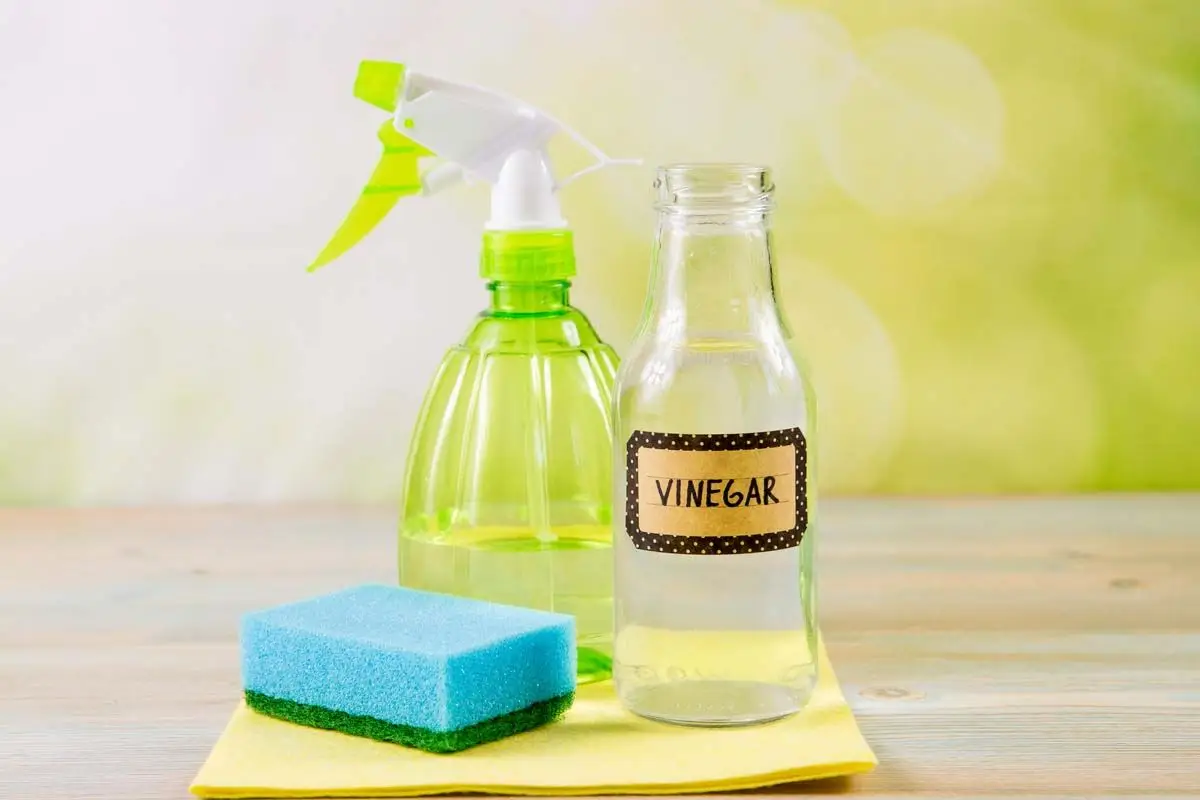 Come eliminare i cattivi odori in casa in 5 minuti: il trucco dei cuochi Come eliminare i cattivi odori in casa in 5 minuti: il trucco dei cuochi