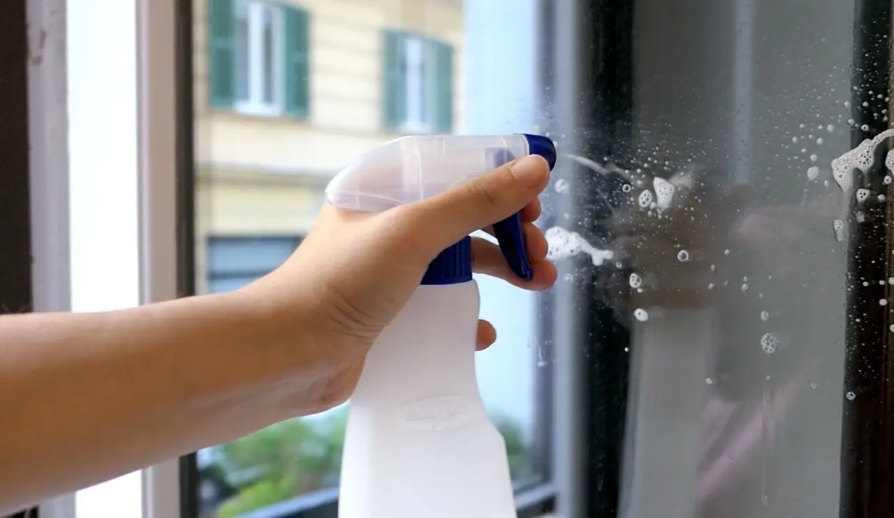 Cosa spruzzare sui davanzali per allontanare insetti e formiche Cosa spruzzare sui davanzali per allontanare insetti e formiche
