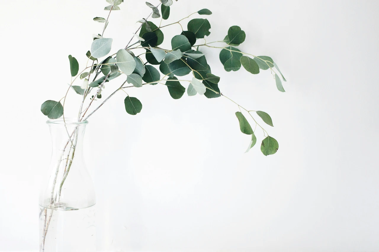Profumo naturale per tutta la casa: solo 1 ingrediente e niente spray Profumo naturale per tutta la casa: solo 1 ingrediente e niente spray