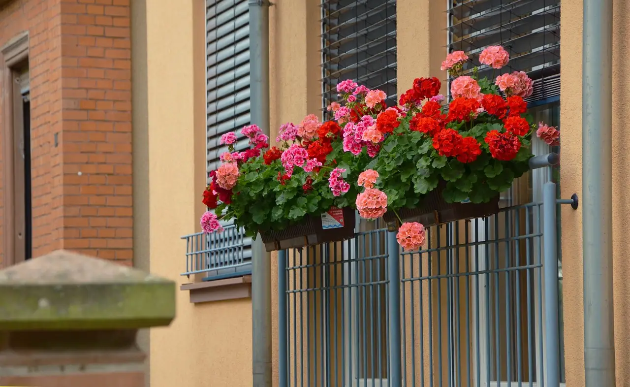 Come tenere il balcone profumato anche d’estate Come tenere il balcone profumato anche d’estate