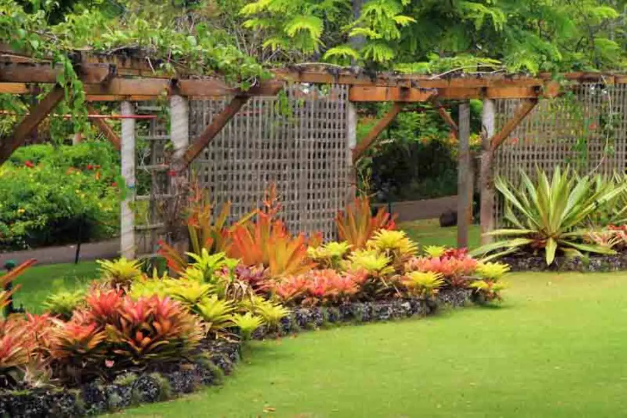Come evitare che le bisce entrino in giardino: il posizionamento corretto delle piante Come evitare che le bisce entrino in giardino: il posizionamento corretto delle piante