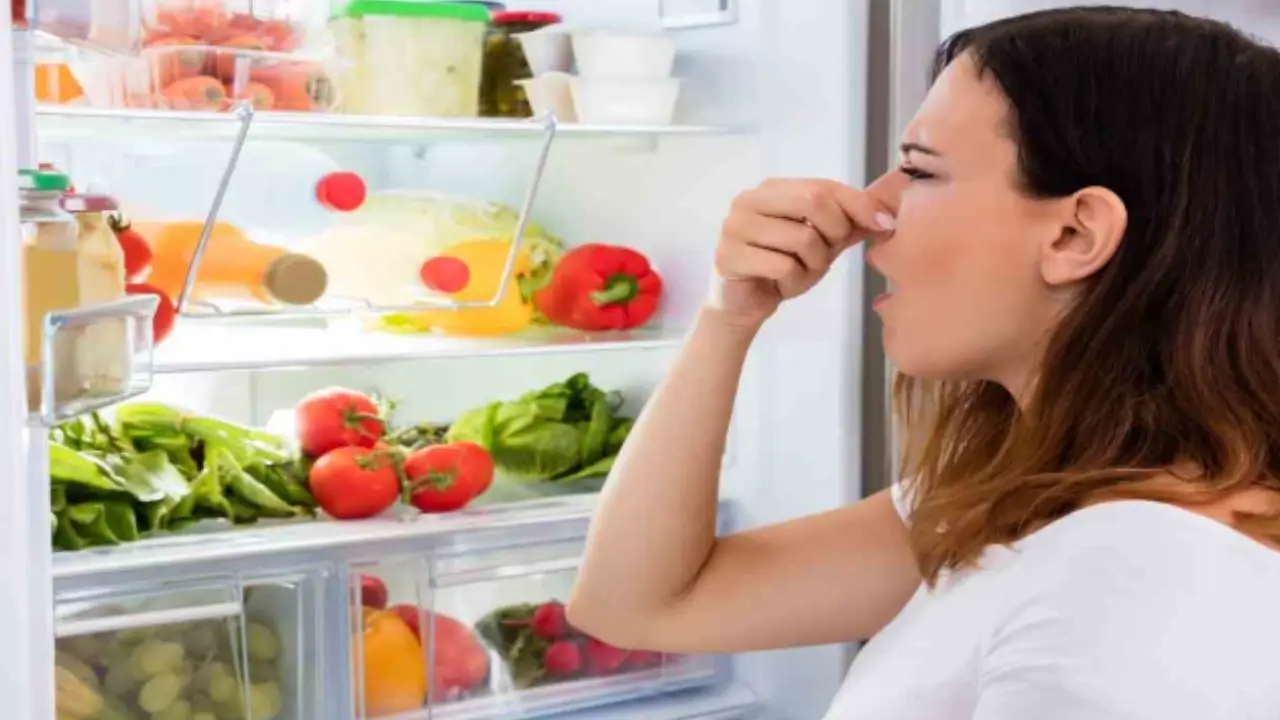 Odori dalla cucina impossibili da eliminare: il metodo nascosto in dispensa Odori dalla cucina impossibili da eliminare: il metodo nascosto in dispensa
