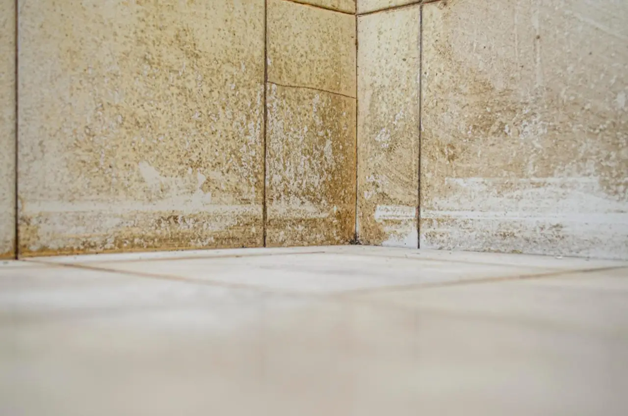 Muffa nel bagno dopo la doccia: il rimedio naturale che protegge le piastrelle Muffa nel bagno dopo la doccia: il rimedio naturale che protegge le piastrelle