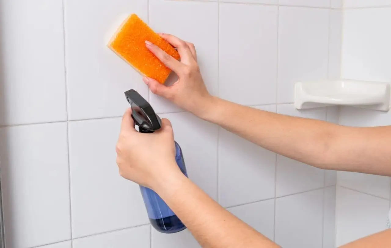 Aloni sulle piastrelle del bagno: il metodo naturale che sorprende anche gli ospiti Aloni sulle piastrelle del bagno: il metodo naturale che sorprende anche gli ospiti