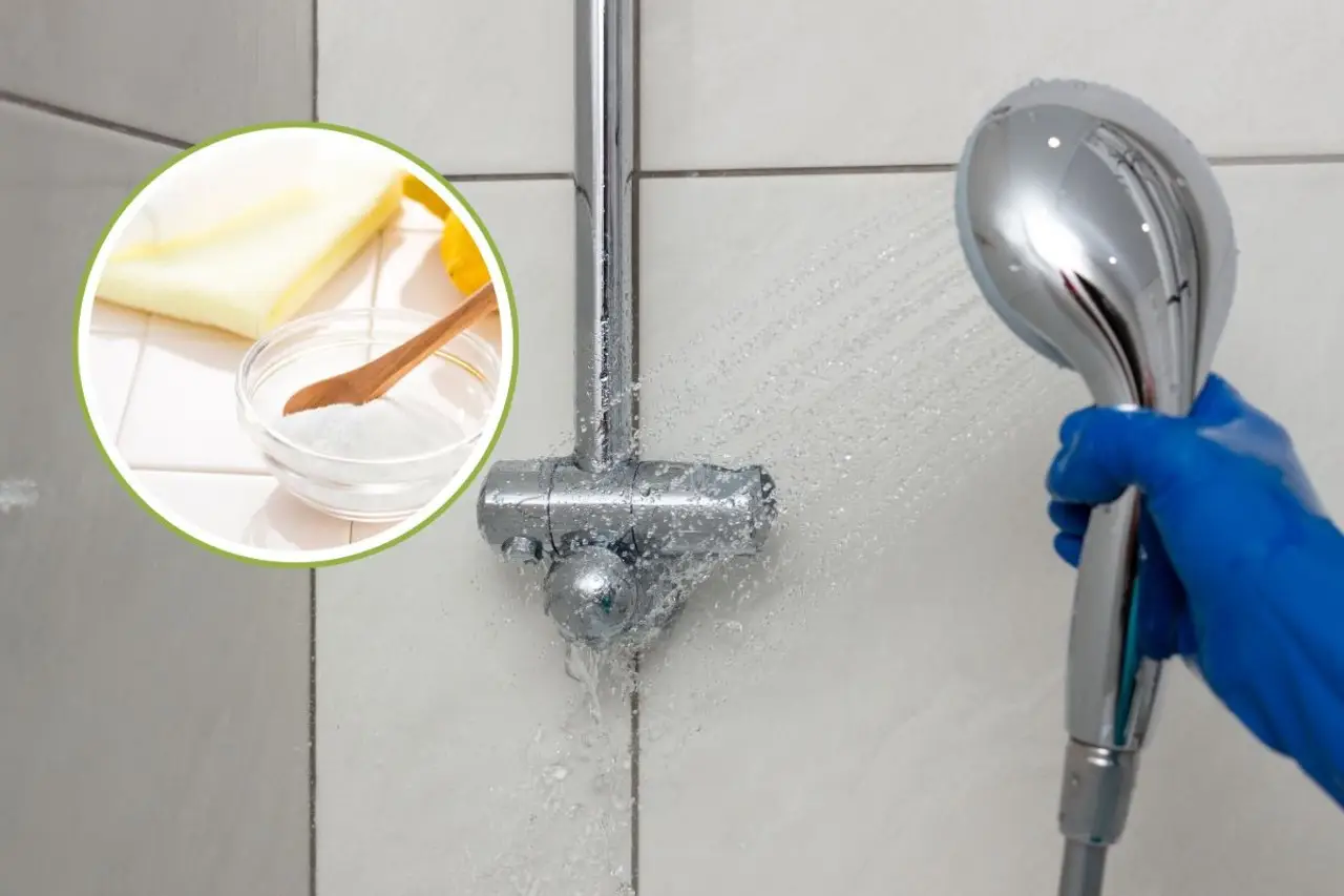 Aloni sulle piastrelle del bagno: il metodo naturale che sorprende anche gli ospiti Aloni sulle piastrelle del bagno: il metodo naturale che sorprende anche gli ospiti