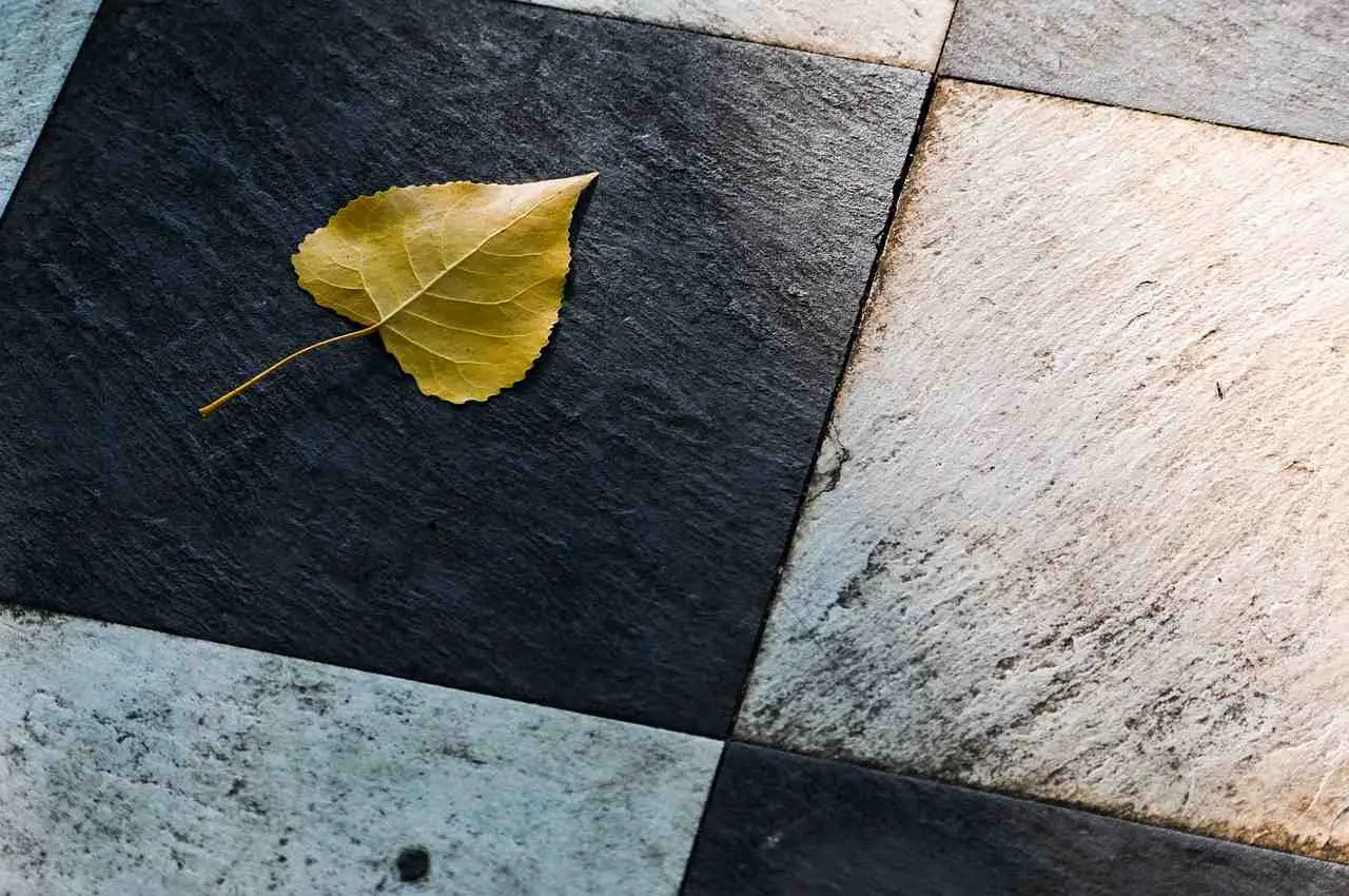 Aloni sulle piastrelle del bagno: il metodo naturale che sorprende anche gli ospiti Aloni sulle piastrelle del bagno: il metodo naturale che sorprende anche gli ospiti
