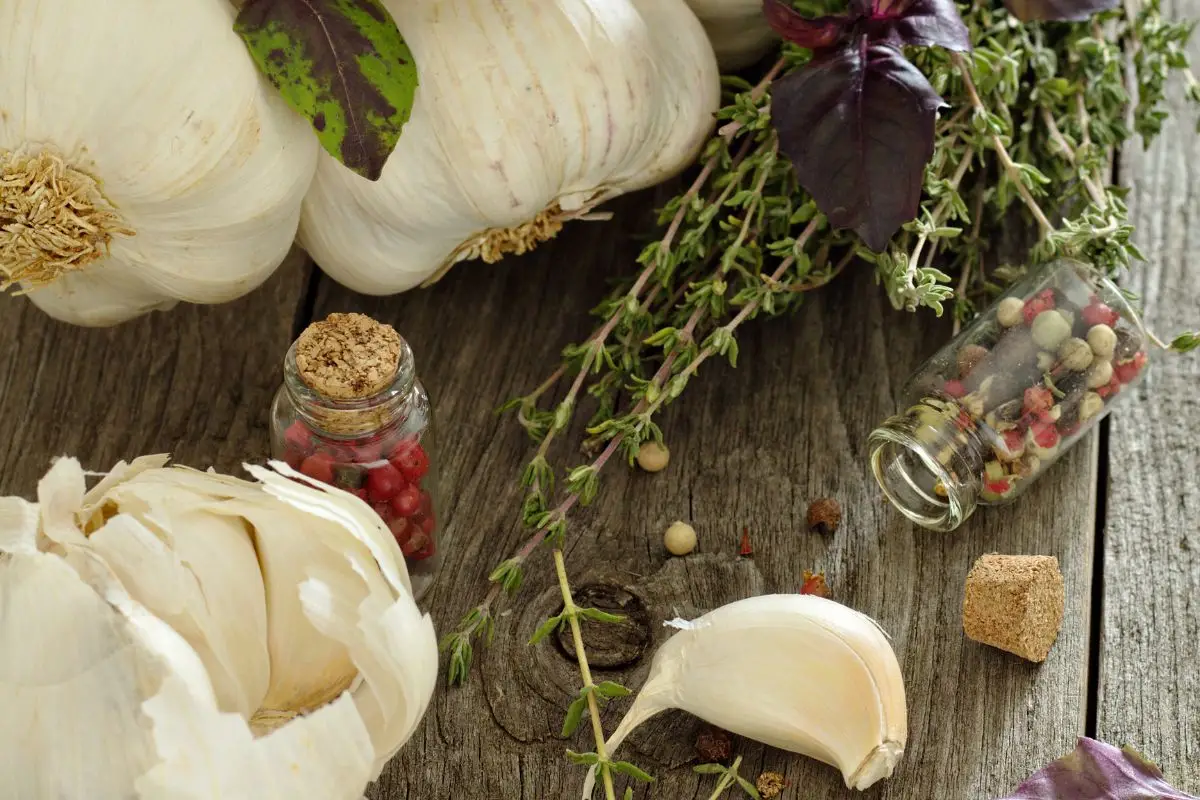 Prepara in casa il repellente naturale all’aglio: stop alle zanzare in modo sicuro e pratico Prepara in casa il repellente naturale all’aglio: stop alle zanzare in modo sicuro e pratico