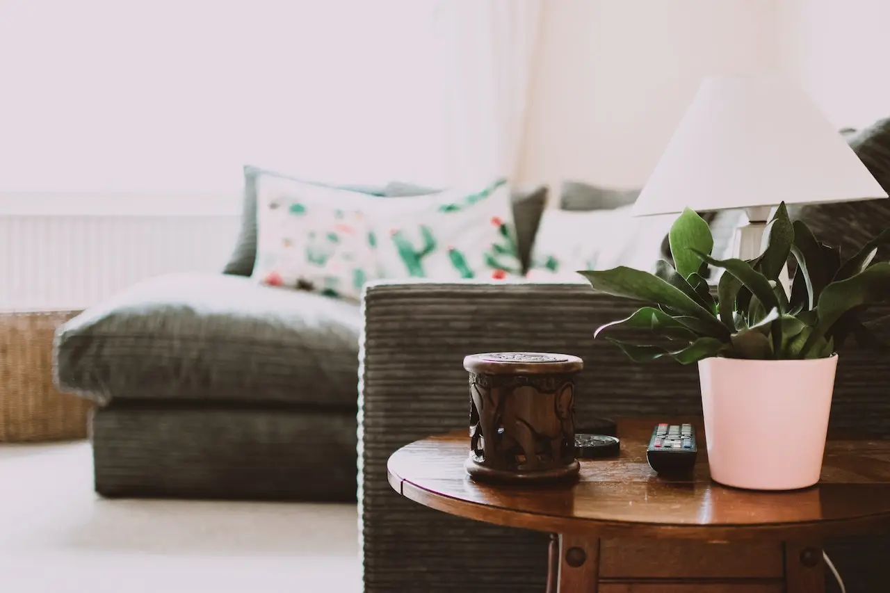 Prova ora questo trucco naturale per eliminare subito gli odori persistenti in casa Prova ora questo trucco naturale per eliminare subito gli odori persistenti in casa