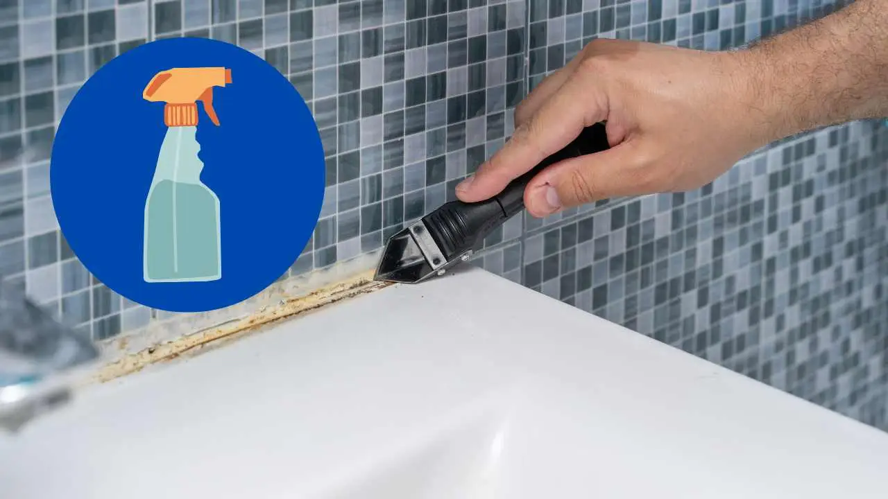 Rimedi veloci contro la muffa nei bagni umidi: azione immediata e aria più pulita Rimedi veloci contro la muffa nei bagni umidi: azione immediata e aria più pulita