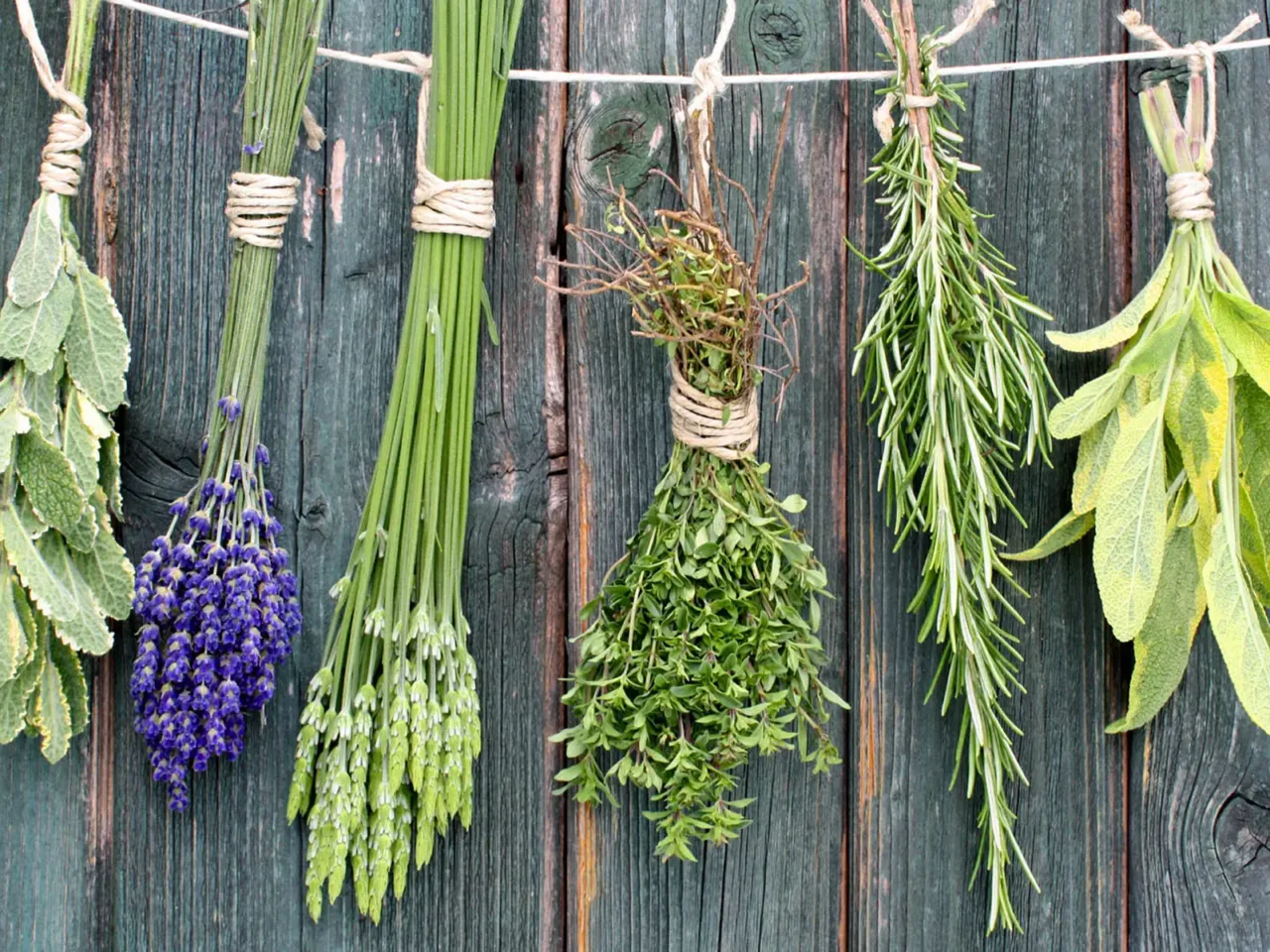 Rendi gli armadi più freschi e ordinati con questo mix naturale di erbe e agrumi Rendi gli armadi più freschi e ordinati con questo mix naturale di erbe e agrumi