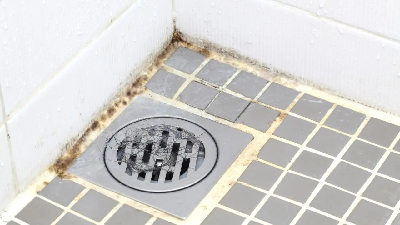 Attenzione a questi oggetti in bagno: possono favorire muffa e cattivi odori Attenzione a questi oggetti in bagno: possono favorire muffa e cattivi odori