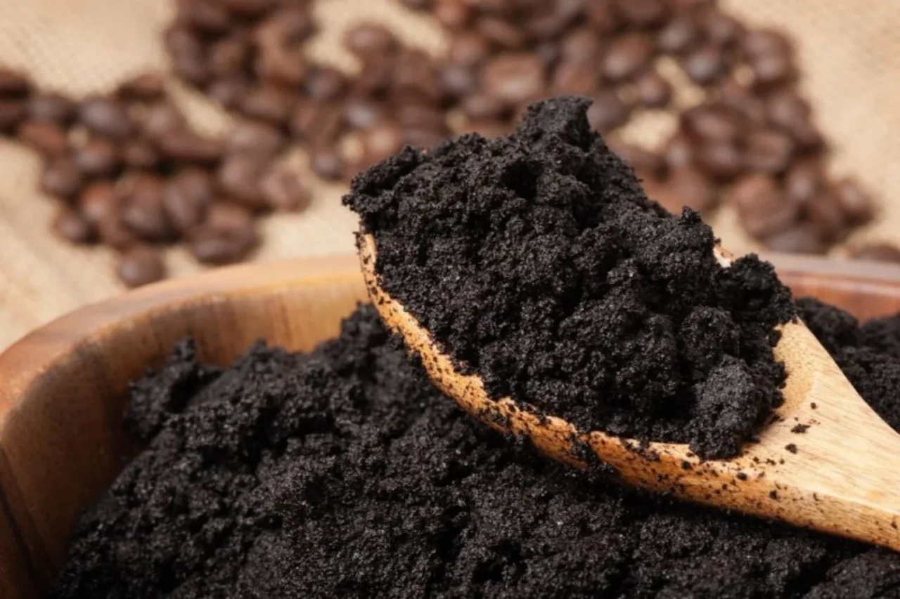 Come eliminare rapidamente l’umidità dagli armadi usando solo riso o fondi di caffè Come eliminare rapidamente l’umidità dagli armadi usando solo riso o fondi di caffè