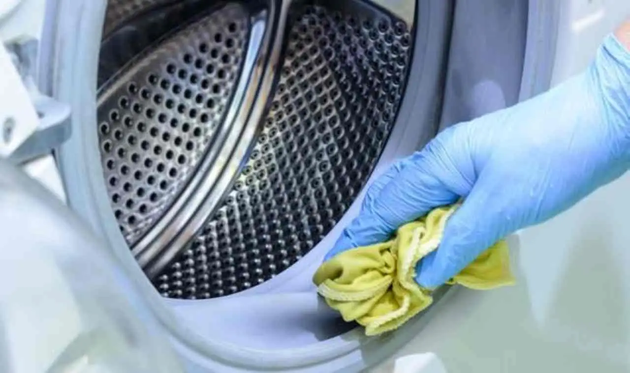 Tieni pulita la lavatrice senza prodotti chimici: il metodo pratico da provare ora Tieni pulita la lavatrice senza prodotti chimici: il metodo pratico da provare ora