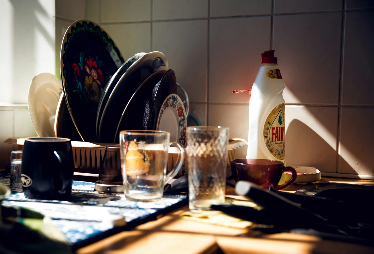 Sai cosa evitare per non attirare scarafaggi in cucina? Ecco gli errori più comuni Sai cosa evitare per non attirare scarafaggi in cucina? Ecco gli errori più comuni