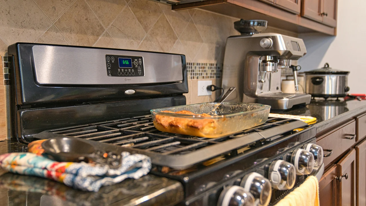 Sai cosa evitare per non attirare scarafaggi in cucina? Ecco gli errori più comuni Sai cosa evitare per non attirare scarafaggi in cucina? Ecco gli errori più comuni