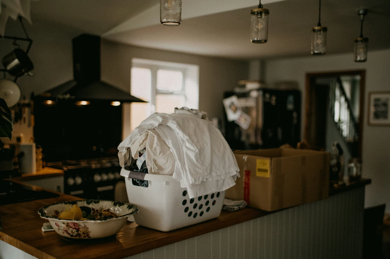 Sai cosa evitare per non attirare scarafaggi in cucina? Ecco gli errori più comuni Sai cosa evitare per non attirare scarafaggi in cucina? Ecco gli errori più comuni
