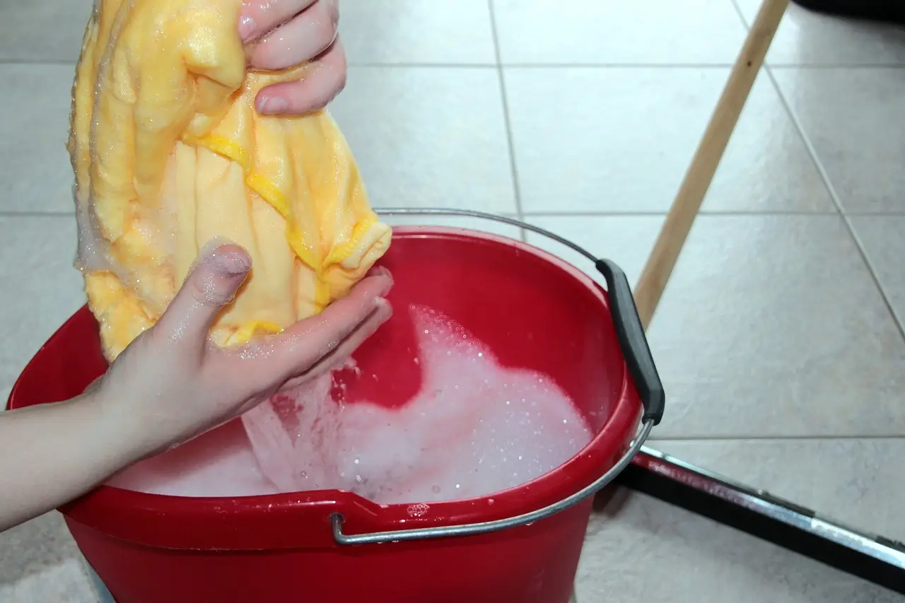 Sapone di Marsiglia per i pavimenti: perché tanti lo preferiscono ai detergenti comuni Sapone di Marsiglia per i pavimenti: perché tanti lo preferiscono ai detergenti comuni