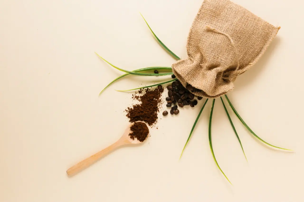 Come trasformare la cucina in uno spazio profumato usando solo chicchi di caffè Come trasformare la cucina in uno spazio profumato usando solo chicchi di caffè