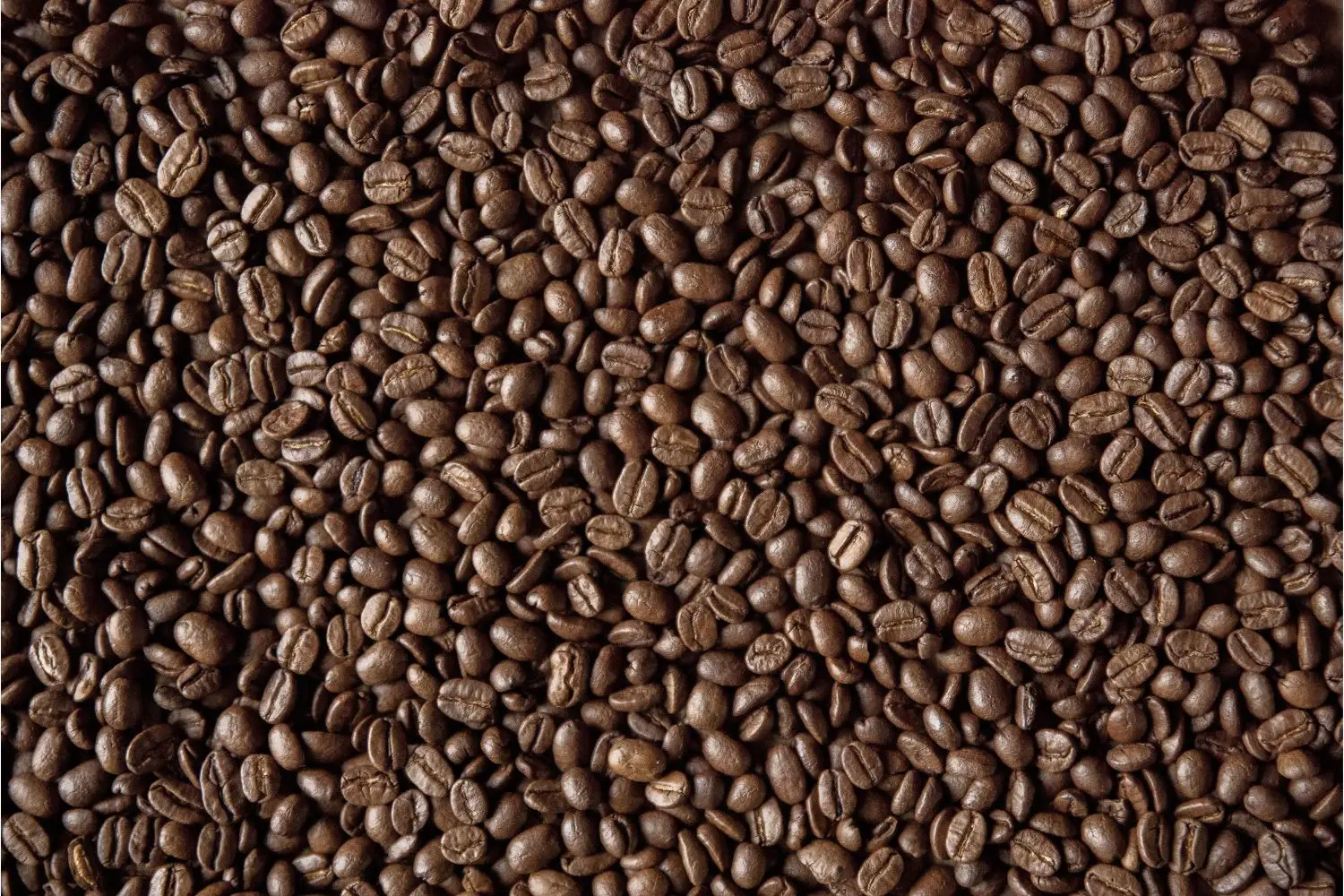 Come trasformare la cucina in uno spazio profumato usando solo chicchi di caffè Come trasformare la cucina in uno spazio profumato usando solo chicchi di caffè