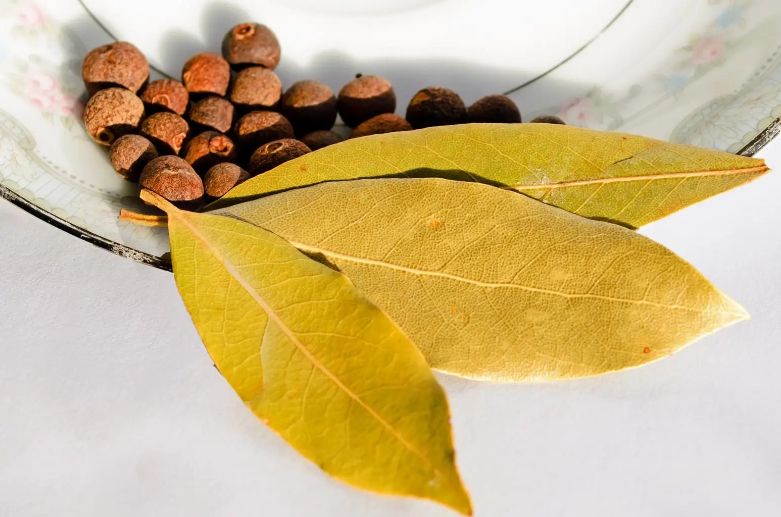Scopri il metodo veloce per allontanare le zanzare con foglie di alloro e limone Scopri il metodo veloce per allontanare le zanzare con foglie di alloro e limone