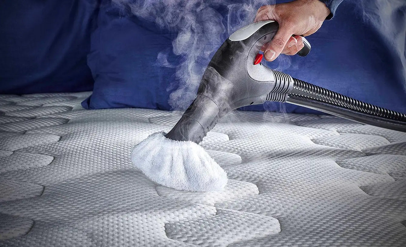 Come prevenire le allergie in casa eliminando gli acari dai tappeti con il vapore Come prevenire le allergie in casa eliminando gli acari dai tappeti con il vapore