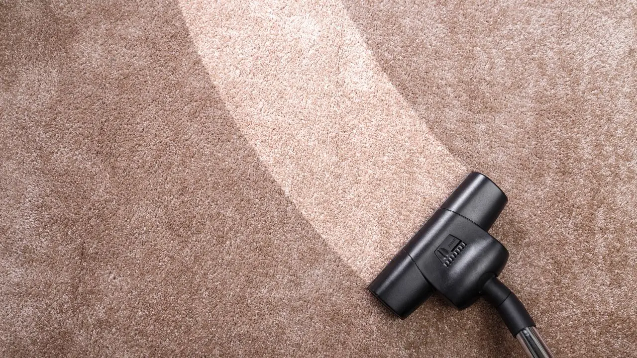 Come prevenire le allergie in casa eliminando gli acari dai tappeti con il vapore Come prevenire le allergie in casa eliminando gli acari dai tappeti con il vapore