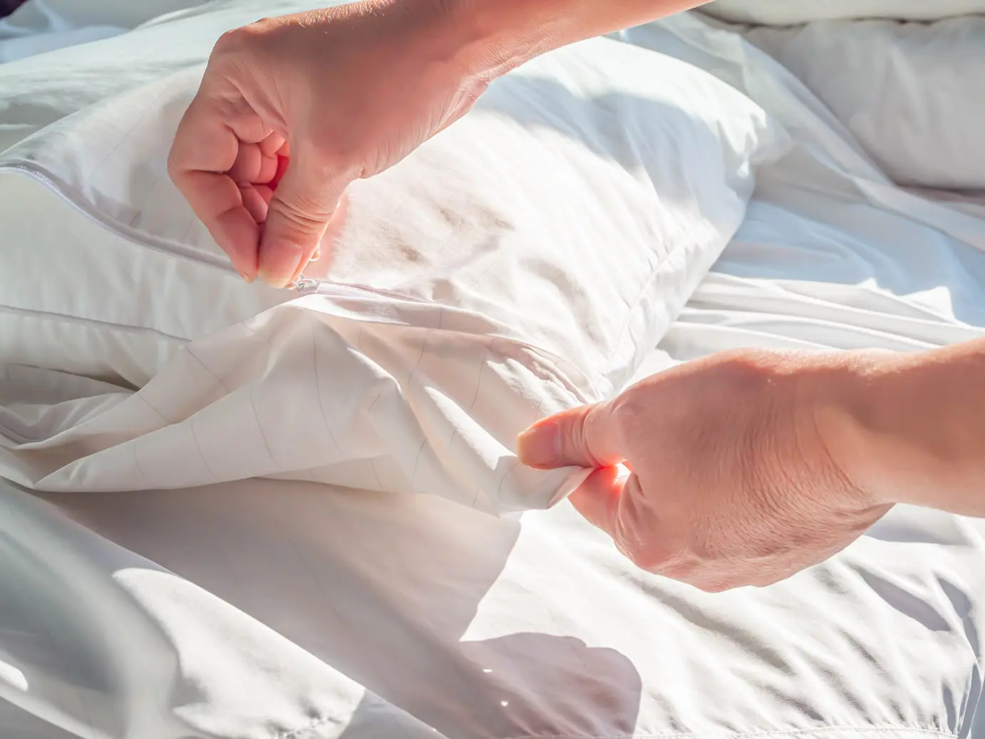 Scopri il metodo più efficace per igienizzare pigiami e lenzuola sensibili agli acari Scopri il metodo più efficace per igienizzare pigiami e lenzuola sensibili agli acari